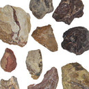 5 Dollar Lapidary Chunk - Rough