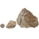 5 Dollar Lapidary Chunk - Rough