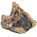 5 Dollar Lapidary Chunk - Rough