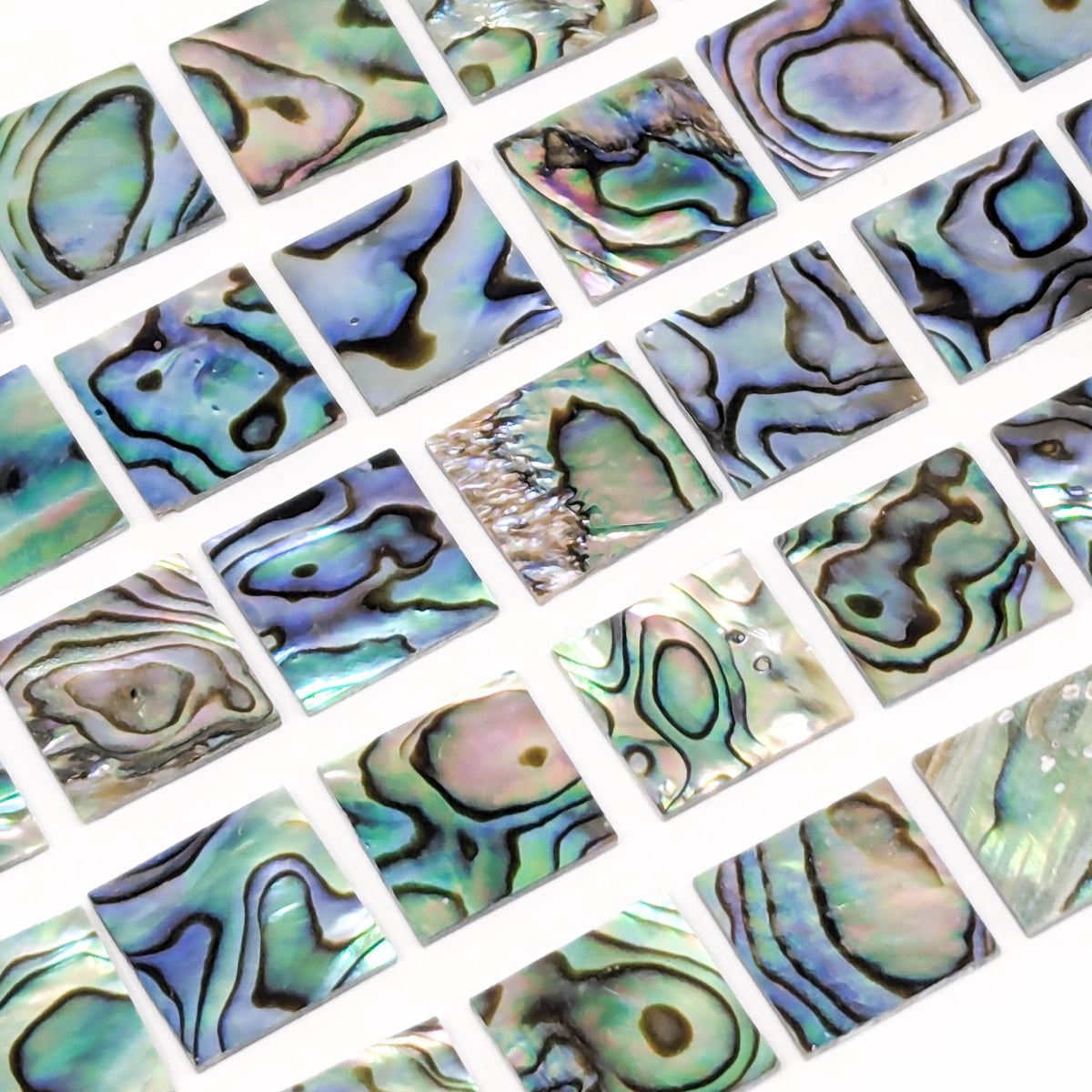 Abalone Shell square sheets.