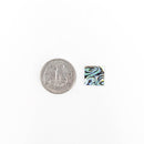 Abalone Shell - Square Sheets