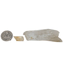 Actinolite Quartz - (Facet Grade) - Rough - View 10