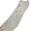 Actinolite Quartz - (Facet Grade) - Rough - View 5