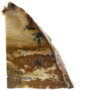 African Queen Picture Jasper - Rough