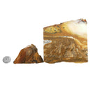 African Queen Picture Jasper - Rough