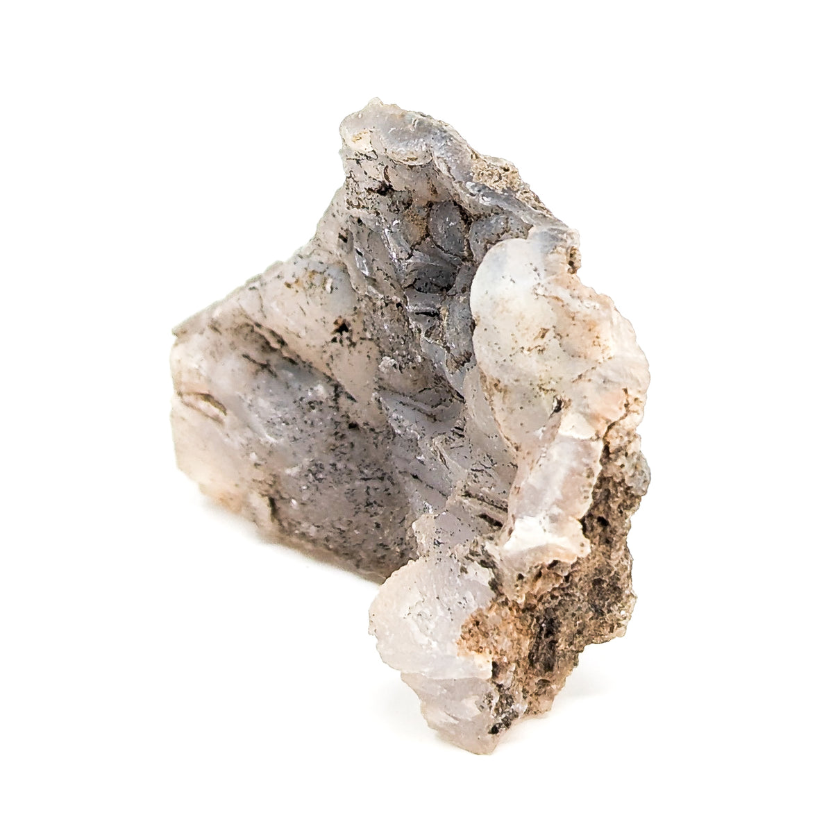Agatized Tree Limb Cast fossil from Dendrite Butte, Paulina, Oregon, USA.