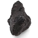 Aletai Meteorite Fragment - Specimen