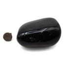 Blue Amber - Fossil Specimen
