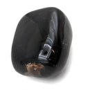 Blue Amber - Fossil Specimen
