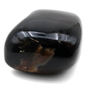 Blue Amber - Fossil Specimen