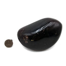 Blue Amber - Fossil Specimen