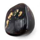 Polished Amber - Fossil Specimen
