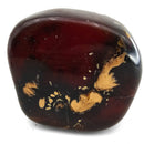 Polished Amber - Fossil Specimen