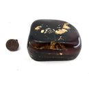Polished Amber - Fossil Specimen