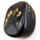 Polished Amber - Fossil Specimen