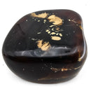 Polished Amber - Fossil Specimen