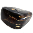 Polished Amber - Fossil Specimen