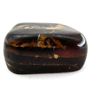 Polished Amber - Fossil Specimen
