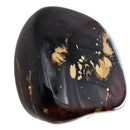 Polished Amber - Fossil Specimen