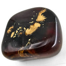 Polished Amber - Fossil Specimen