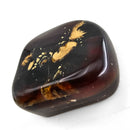 Polished Amber - Fossil Specimen