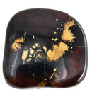 Polished Amber - Fossil Specimen