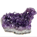 Amethyst - A Grade - Mineral Specimen - Brazil - Crown Chakra