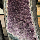 Amethyst - Cathedral Geode - Statement Specimen