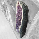Amethyst - Cathedral Geode - Statement Specimen