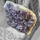 Amethyst Plate - Statement Specimen