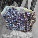 Amethyst Plate - Statement Specimen