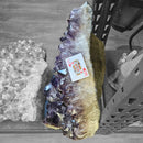Amethyst Plate - Statement Specimen