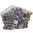 Amethyst Plate - Statement Specimen