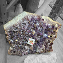 Amethyst Plate - Statement Specimen