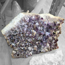 Amethyst Plate - Statement Specimen
