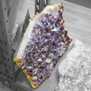Amethyst Plate - Statement Specimen