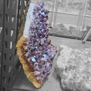 Amethyst Plate - Statement Specimen