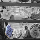 Amethyst Plate - Statement Specimen