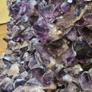 Amethyst Plate - Statement Specimen