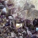 Amethyst Plate - Statement Specimen