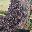 Amethyst - Mounted On Stand - Statement Specimen - Brazil