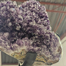 Amethyst - Mounted On Stand - Statement Specimen - Brazil