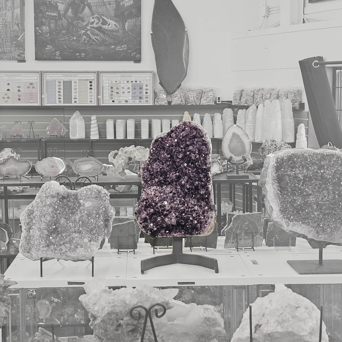 Amethyst - Mounted On Stand - Statement Specimen - Brazil
