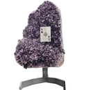 Amethyst - Mounted On Stand - Statement Specimen - Brazil