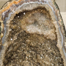 Amethyst - Cathedral Geode - Statement Specimen