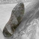 Amethyst - Cathedral Geode - Statement Specimen