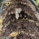 Amethyst - Cathedral Geode - Statement Specimen