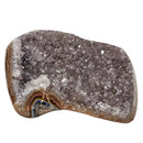 Amethyst Druze - Freeform Palmstone - Brazil - Crown Chakra