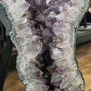 Amethyst - Butterfly Geode on Stand - Statement Specimen