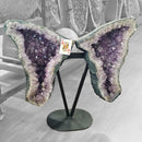 Amethyst - Butterfly Geode on Stand - Statement Specimen